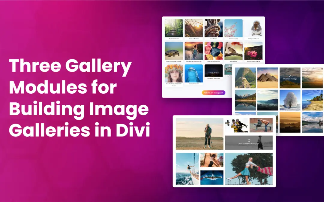 Three Gallery Modules for Building Image Galleries in Divi