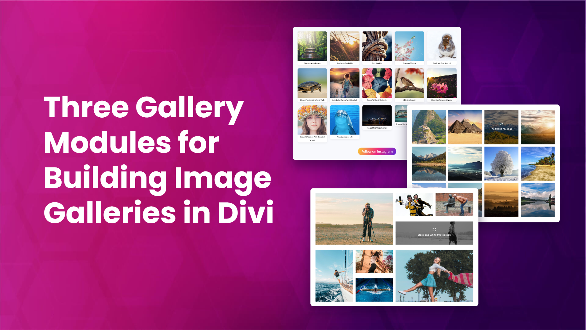 Three gallery modules for building image galleries in Divi