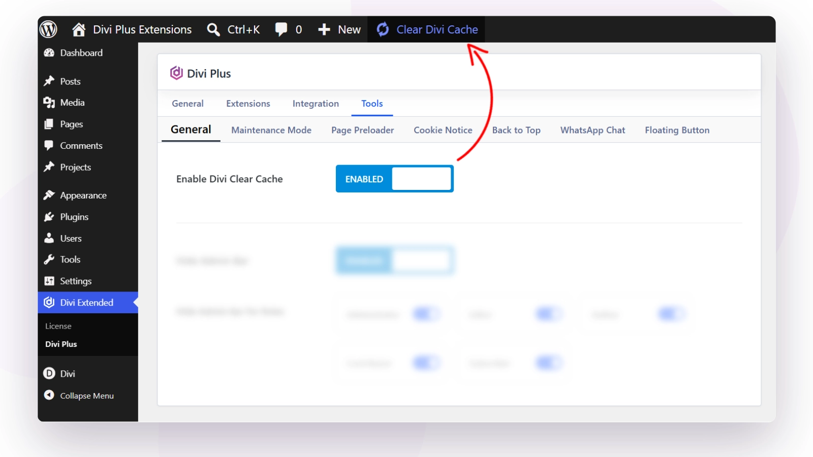 Divi Plus clear cache control in the WordPress dashboard