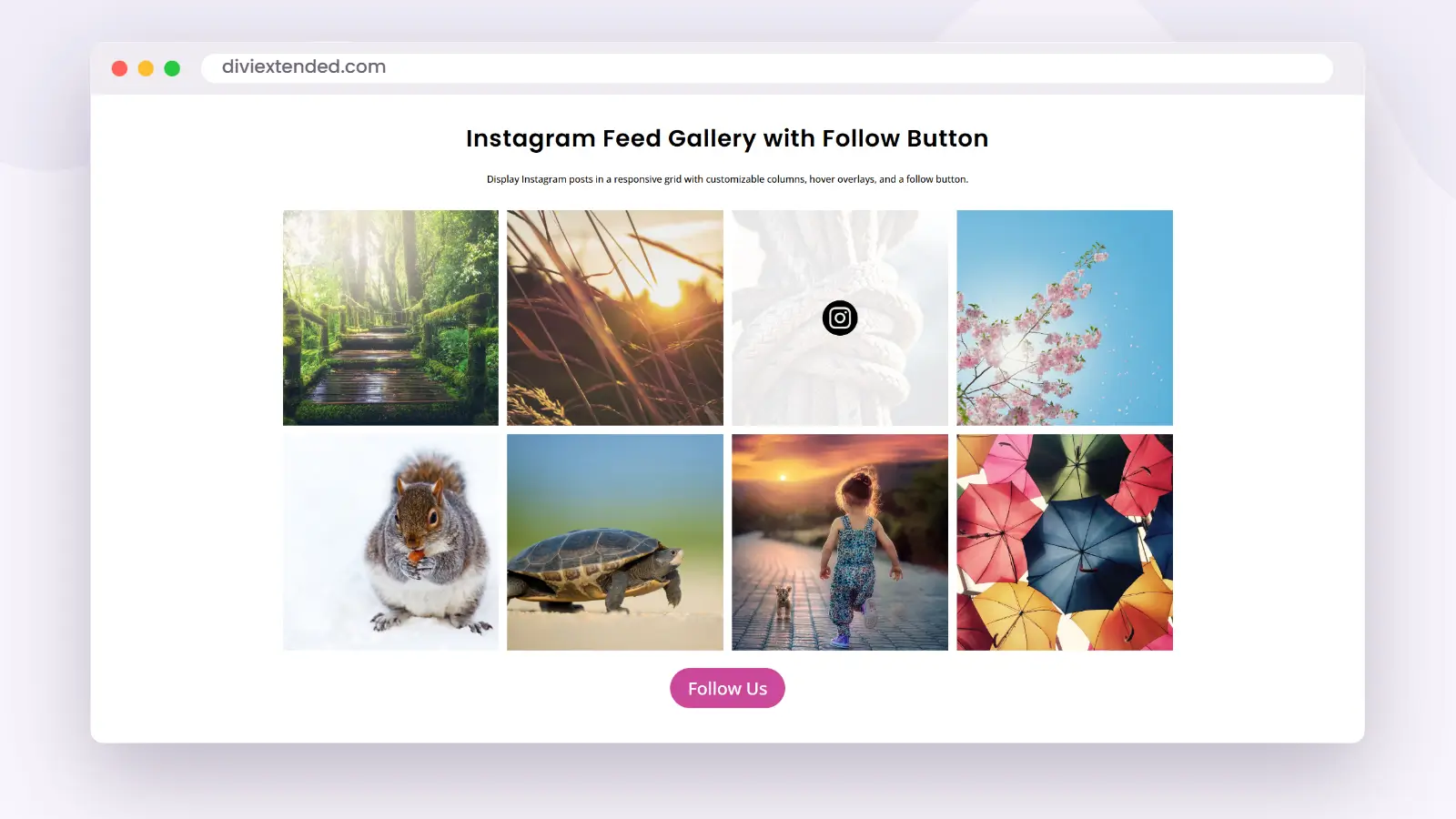 Instagram feed shown as a photo grid on a Divi page