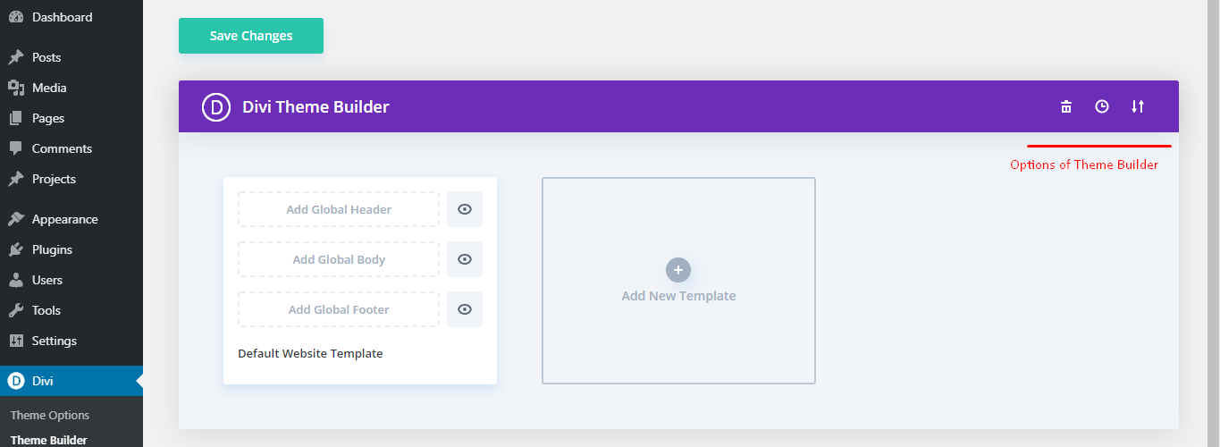 Options in Divi Theme Builder